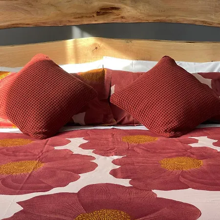 Casa Katiu' Due Indipendenti In Di 83 Mq Bed & Breakfast